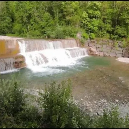 Nel Bosco Della Quercetina Bibbiena